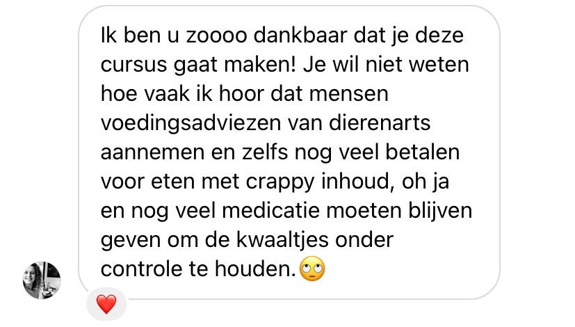 De juiste voeding voor jouw hond