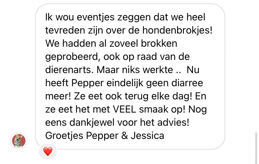 De juiste voeding voor jouw hond