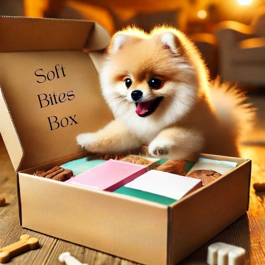 Soft Bites Box